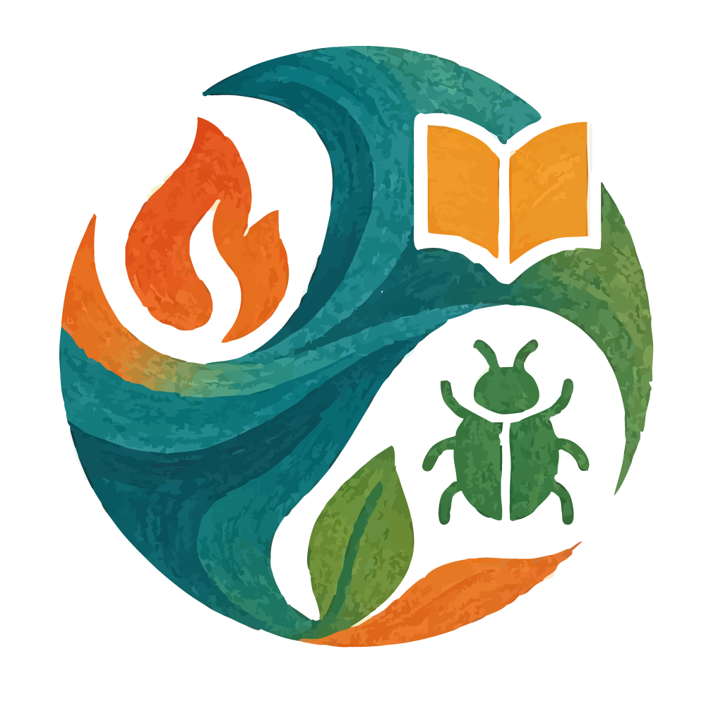 Logo Servicios Río Aysén
